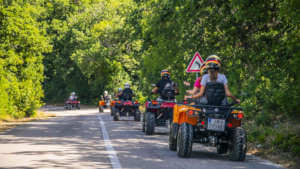 Quad tour on a road surrounded by forest