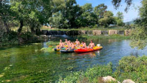 Kayaking tour in nature